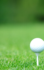 NewsLetter SubScription