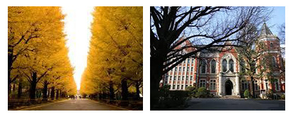 1、2年時を過ごした慶大日吉校舎(左）   3、4年時を過ごした慶大三田校舎（右）