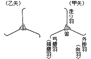 弓