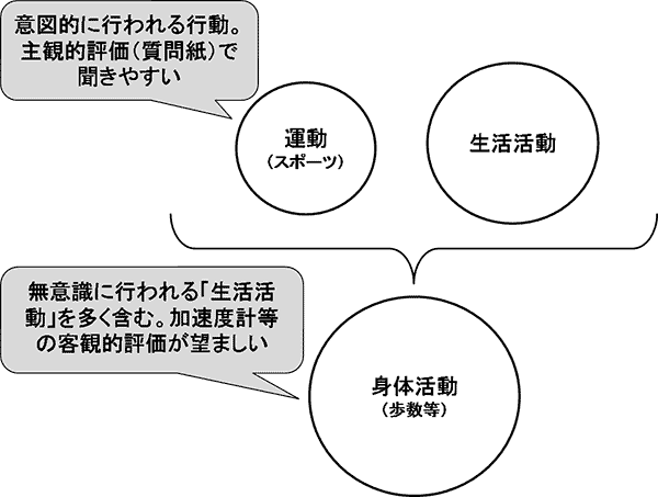 図5．運動・生活活動と身体活動の評価