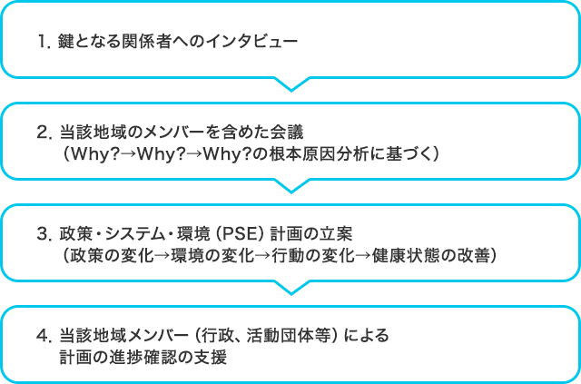 鍵となる関係者へのインタビュー、当該地域のメンバーを含めた会議、政策・システム・環境計画の立案、当該地域メンバー（行政、活動団体等）による計画の進捗確認の支援