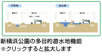 新横浜公園の多目的遊水地機能