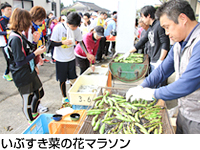 いぶすき菜の花マラソン