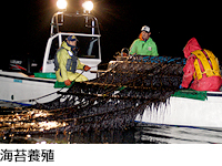 海苔養殖