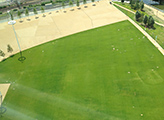 Queen Elizabeth Olympic Park9