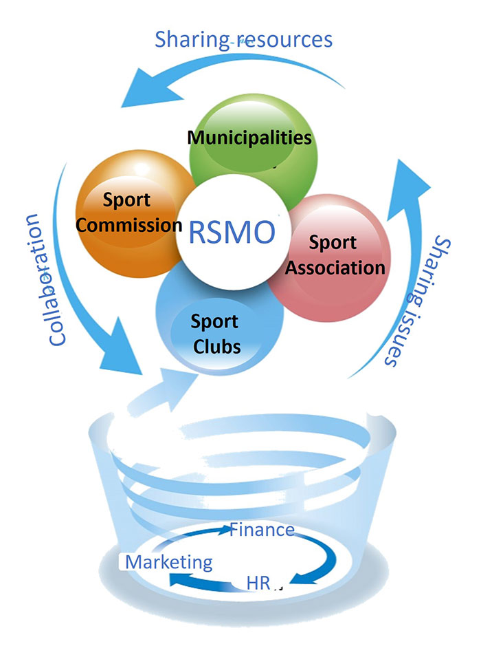 Conceptual Diagram of RSMO