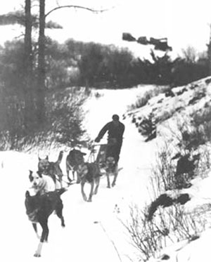 1932年レークプラシッド冬季大会の犬ぞりレースで優勝したカナダのゴッダード