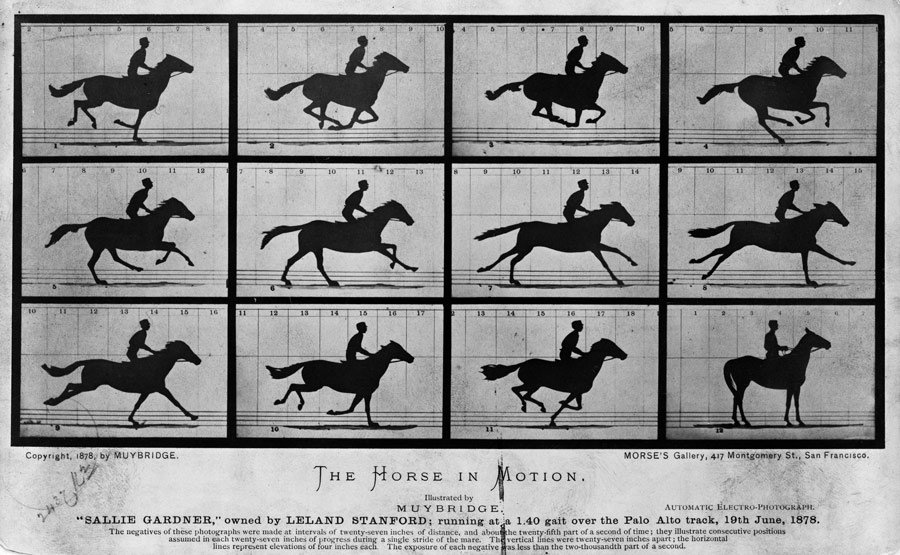 マイブリッジの「動く馬」。スタンフォード所有の馬サリー・ガードナーを撮った