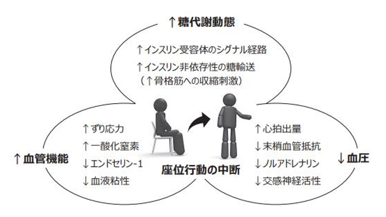 座位行動の実践的研究