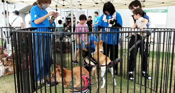 ボールパークフェスタ in まるがめ 2026