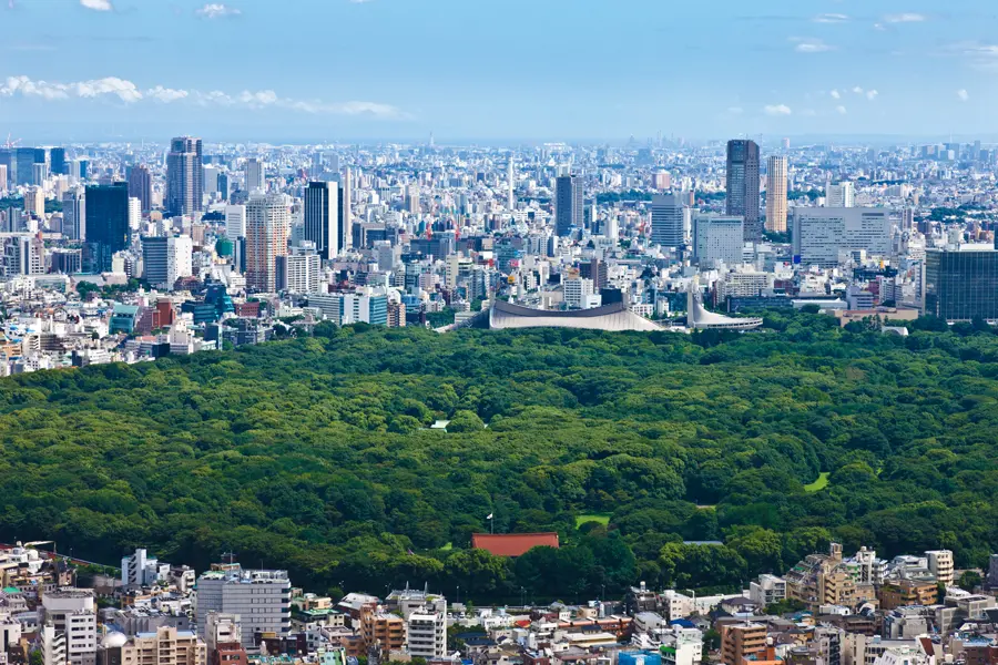 明治神宮と代々木体育館と渋谷周辺への眺望（写真：Adobe）
